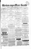 Weston-super-Mare Gazette, and General Advertiser Wednesday 22 January 1879 Page 1