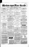 Weston-super-Mare Gazette, and General Advertiser Wednesday 26 February 1879 Page 1