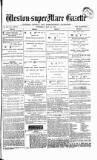 Weston-super-Mare Gazette, and General Advertiser Wednesday 28 May 1879 Page 1