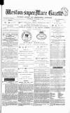 Weston-super-Mare Gazette, and General Advertiser Wednesday 05 November 1879 Page 1