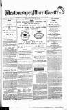 Weston-super-Mare Gazette, and General Advertiser Wednesday 21 January 1880 Page 1