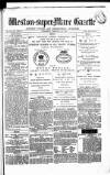 Weston-super-Mare Gazette, and General Advertiser Wednesday 25 February 1880 Page 1