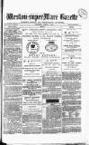 Weston-super-Mare Gazette, and General Advertiser Wednesday 03 March 1880 Page 1