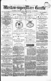 Weston-super-Mare Gazette, and General Advertiser Wednesday 12 May 1880 Page 1
