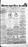 Weston-super-Mare Gazette, and General Advertiser Wednesday 19 May 1880 Page 1