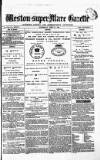 Weston-super-Mare Gazette, and General Advertiser Wednesday 16 June 1880 Page 1