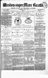 Weston-super-Mare Gazette, and General Advertiser Wednesday 07 July 1880 Page 1