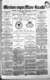 Weston-super-Mare Gazette, and General Advertiser Wednesday 18 August 1880 Page 1