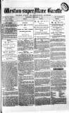 Weston-super-Mare Gazette, and General Advertiser Wednesday 22 September 1880 Page 1