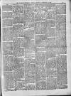 Weston-super-Mare Gazette, and General Advertiser Saturday 26 February 1881 Page 3