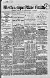Weston-super-Mare Gazette, and General Advertiser Wednesday 23 March 1881 Page 1