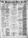 Weston-super-Mare Gazette, and General Advertiser Saturday 25 November 1882 Page 1