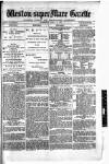 Weston-super-Mare Gazette, and General Advertiser Wednesday 18 April 1883 Page 1