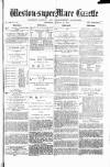 Weston-super-Mare Gazette, and General Advertiser Wednesday 16 January 1884 Page 1