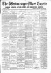 Weston-super-Mare Gazette, and General Advertiser Saturday 31 July 1886 Page 1
