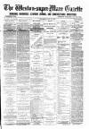 Weston-super-Mare Gazette, and General Advertiser Saturday 14 May 1887 Page 1