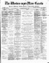 Weston-super-Mare Gazette, and General Advertiser Saturday 03 January 1891 Page 1