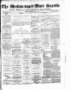 Weston-super-Mare Gazette, and General Advertiser Wednesday 27 June 1894 Page 1