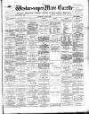 Weston-super-Mare Gazette, and General Advertiser Saturday 01 June 1895 Page 1