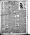 Weston-super-Mare Gazette, and General Advertiser Saturday 04 April 1896 Page 10