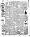 Weston-super-Mare Gazette, and General Advertiser Saturday 28 November 1896 Page 10