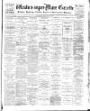 Weston-super-Mare Gazette, and General Advertiser Saturday 10 February 1900 Page 1