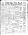 Weston-super-Mare Gazette, and General Advertiser Saturday 24 March 1900 Page 1