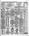 Drogheda Argus and Leinster Journal Saturday 16 June 1838 Page 3