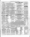 Drogheda Argus and Leinster Journal Saturday 26 October 1850 Page 3