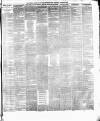 Weekly Freeman's Journal Saturday 04 January 1873 Page 7