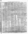 Weekly Freeman's Journal Saturday 25 January 1873 Page 7