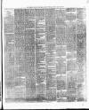 Weekly Freeman's Journal Saturday 22 March 1873 Page 3