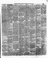Weekly Freeman's Journal Saturday 03 May 1873 Page 3