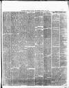 Weekly Freeman's Journal Saturday 03 May 1873 Page 5