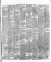 Weekly Freeman's Journal Saturday 17 May 1873 Page 3
