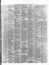 Weekly Freeman's Journal Saturday 24 April 1875 Page 3