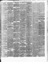 Weekly Freeman's Journal Saturday 29 May 1875 Page 3