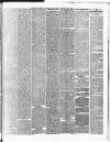 Weekly Freeman's Journal Saturday 29 May 1875 Page 5