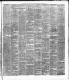 Weekly Freeman's Journal Saturday 11 December 1875 Page 3