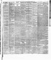 Weekly Freeman's Journal Saturday 25 December 1875 Page 7