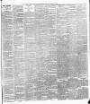 Weekly Freeman's Journal Saturday 22 January 1876 Page 7