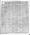 Weekly Freeman's Journal Saturday 22 April 1876 Page 7