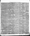 Weekly Freeman's Journal Saturday 20 January 1877 Page 3