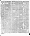 Weekly Freeman's Journal Saturday 07 April 1877 Page 7