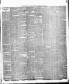 Weekly Freeman's Journal Saturday 11 August 1877 Page 7