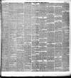 Weekly Freeman's Journal Saturday 18 January 1879 Page 2