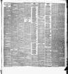 Weekly Freeman's Journal Saturday 21 August 1880 Page 7