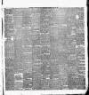 Weekly Freeman's Journal Saturday 28 August 1880 Page 3