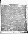 Weekly Freeman's Journal Saturday 23 October 1880 Page 7