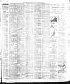 Weekly Freeman's Journal Saturday 01 May 1886 Page 8